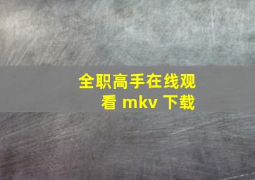 全职高手在线观看 mkv 下载